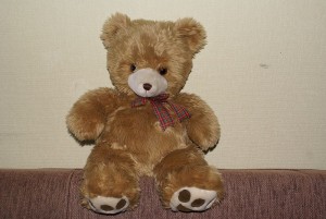 800px-Teddy_bear